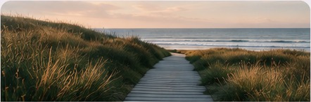 A peaceful path near the ocean